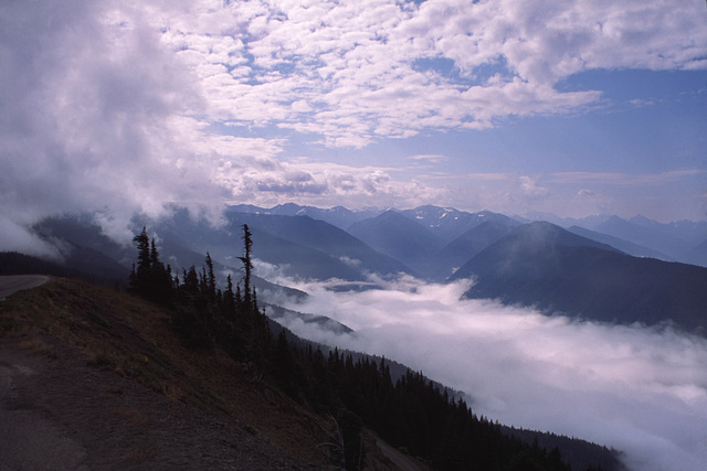 Hurricane Ridge, Olympic National Park