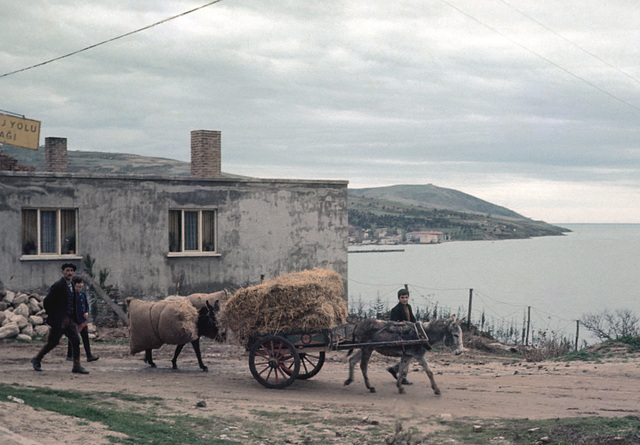 Sinop in 1970 (091 r)