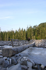 Bridge over the Nisqually River