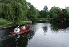 Swan Boat in the Public Garden in Boston, June 2010