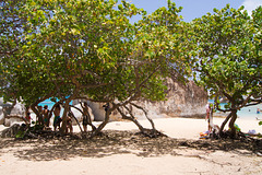 DSC07430-1