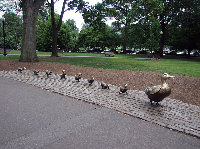 Duckling Sculpture in the Public Garden in Boston, July 2011 Duckling Sculpture in the Public Garden in Boston, July 2011