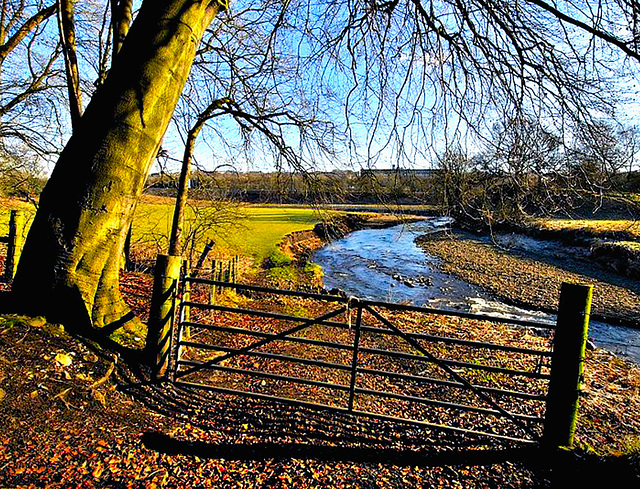 Pendle Water.