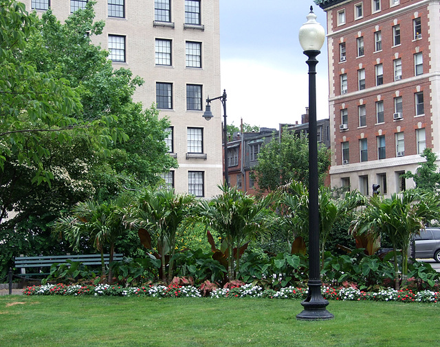 The Public Garden in Boston, July 2011