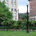 The Public Garden in Boston, July 2011