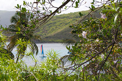 DSC07312-1