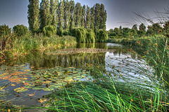 Etang tonemapped 573REDIM