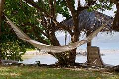 DSC07291-1