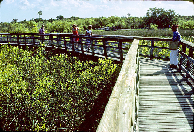 17-sawgrass_walkway_adj