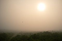 Misty morning sun