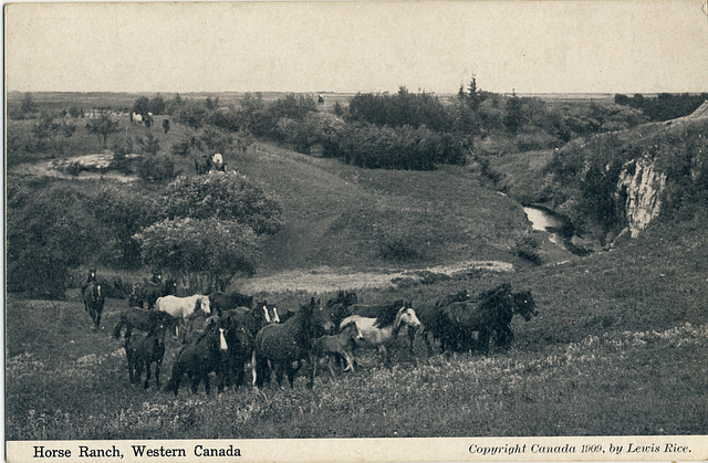 Horse Ranch, Western Canada