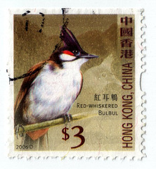 Red-whiskered Bulbul