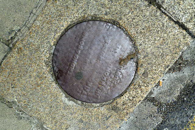 Dublin 2013 – Manhole cover of Strong & Sons of Hammond Lane