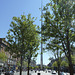 Dublin 2013 – O’Connell Street with the Spire