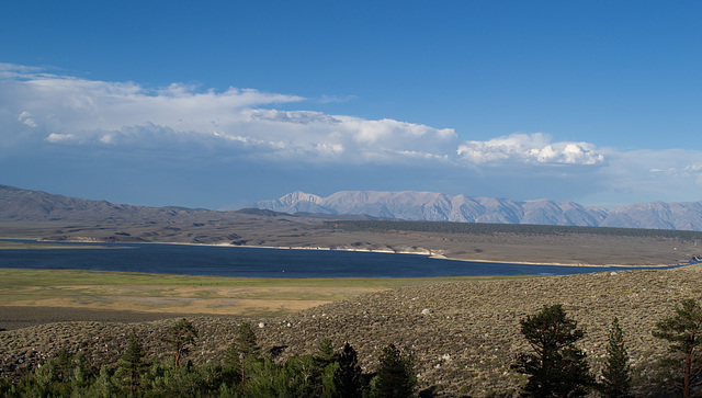 McGee Creek / Crowley Lake,  CA (0105)