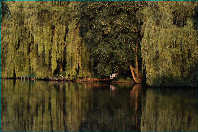 Sur le grand canal de Chantilly