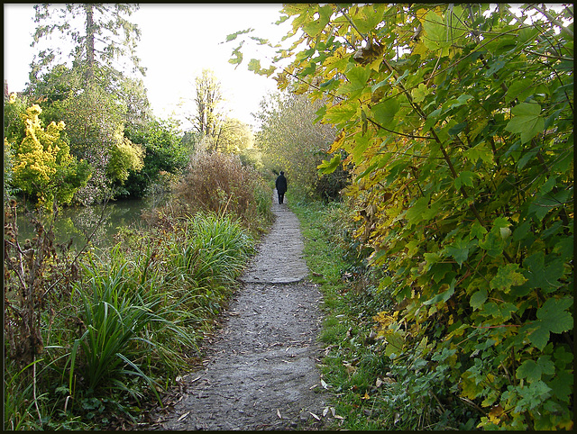 canal walk in November