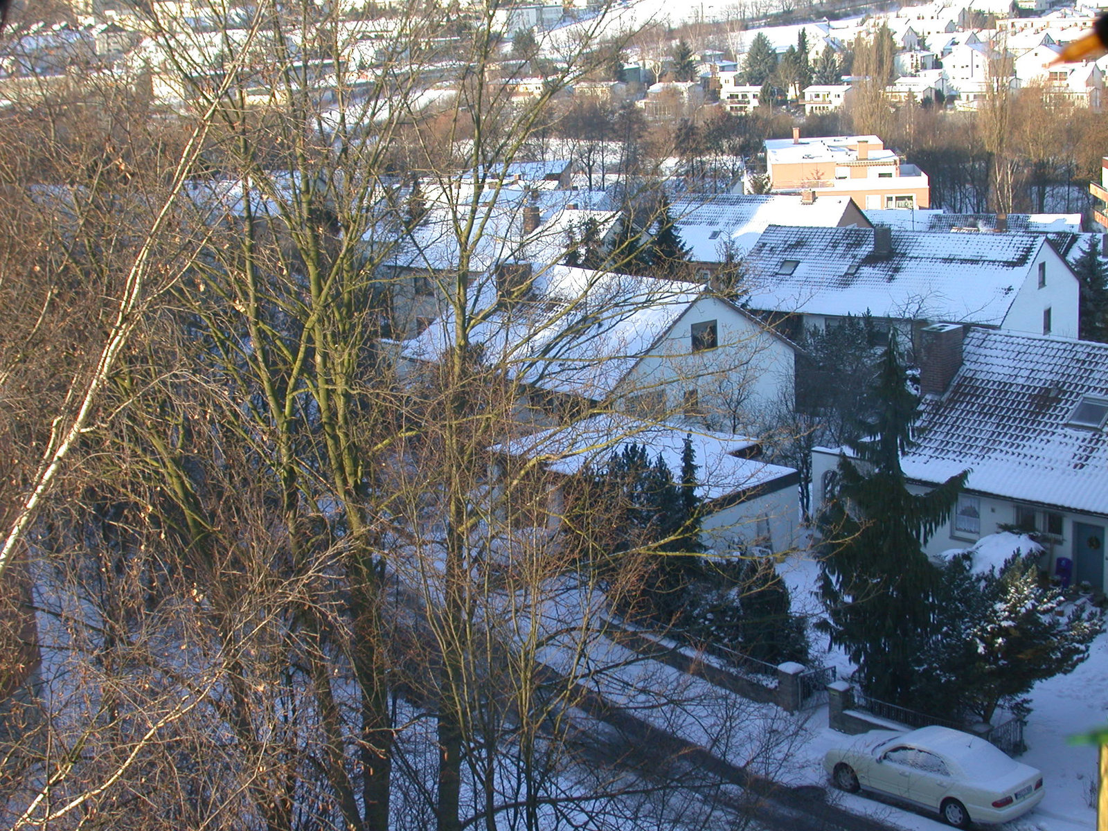 DSCN1977