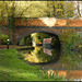 autumn at Walton Well Bridge