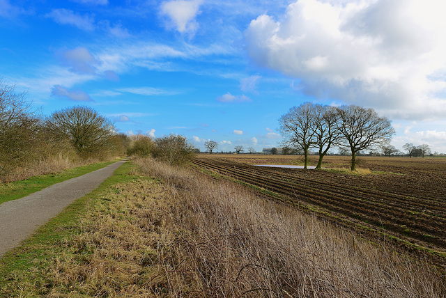 Disused railway, Haughton