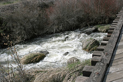 Cowiche Creek
