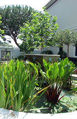 Pond in the Garden with the Reproduction of the  Large Fountain from Pompeii in the Getty Villa, July 2008