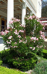 The Large Peristyle in the Getty Villa, July 2008