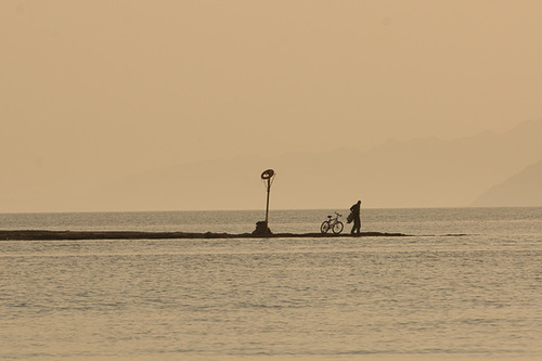 DSC06237-1