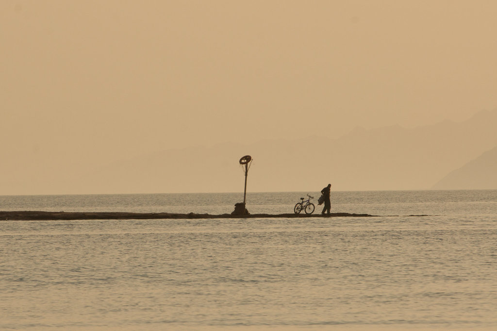 DSC06237-1