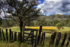 Fort Rucker - Chiricahua Mountains