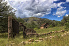 Fort Rucker - Chiricahua Mountains