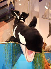 Stuffed Whale in FAO Schwarz, May 2007