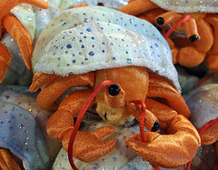 Stuffed Crab in FAO Schwarz, May 2007