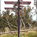 Brocken, Harz 036