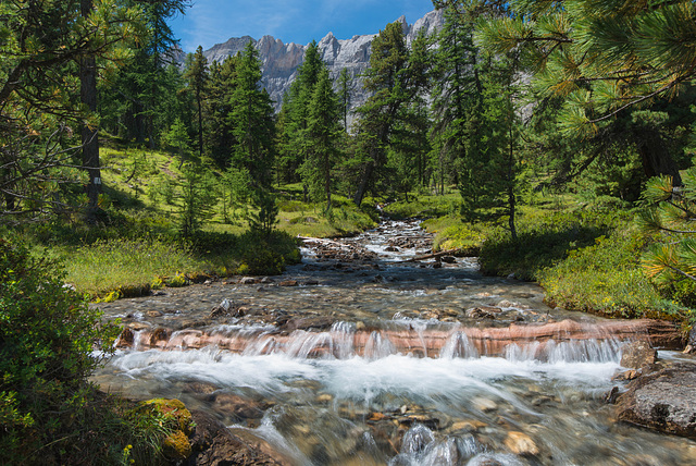 Torrent du Queyras - parc régional du Queyras