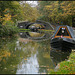 another autumn at Isis Bridge