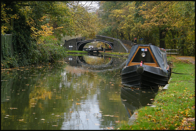 another autumn at Isis Bridge