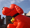 Clifford at the Stamford Balloon Parade, November 2012