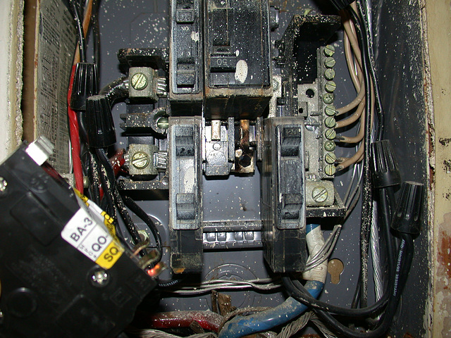 DSCN3262