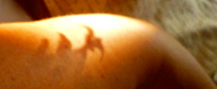 Shadow tatoo