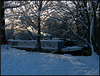 woodsmoke in the snowy twilight