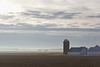 Foggy Farmland Morning