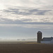 Foggy Farmland Morning