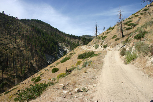 Ash Canyon Road