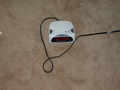 DSCN3739