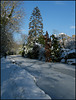 sunlight on the icy canal