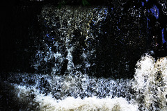 Waterfall, Jesmond Dene