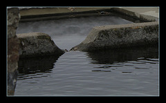 Lavoir