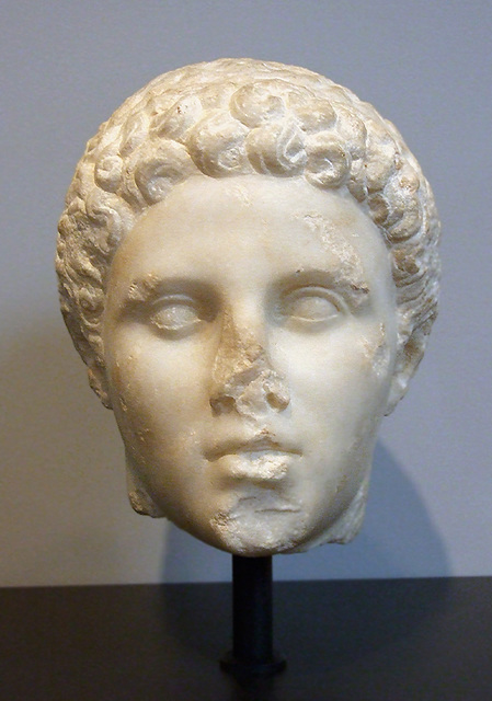 Head of Hephaistion in the Getty Villa, July 2008