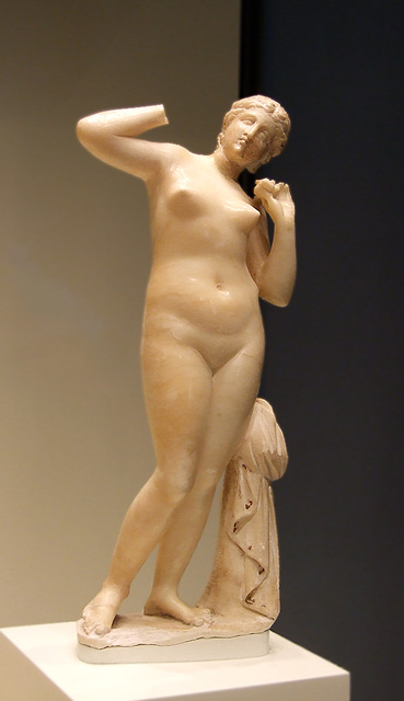 Statuette of Venus in the Getty Villa, July 2008